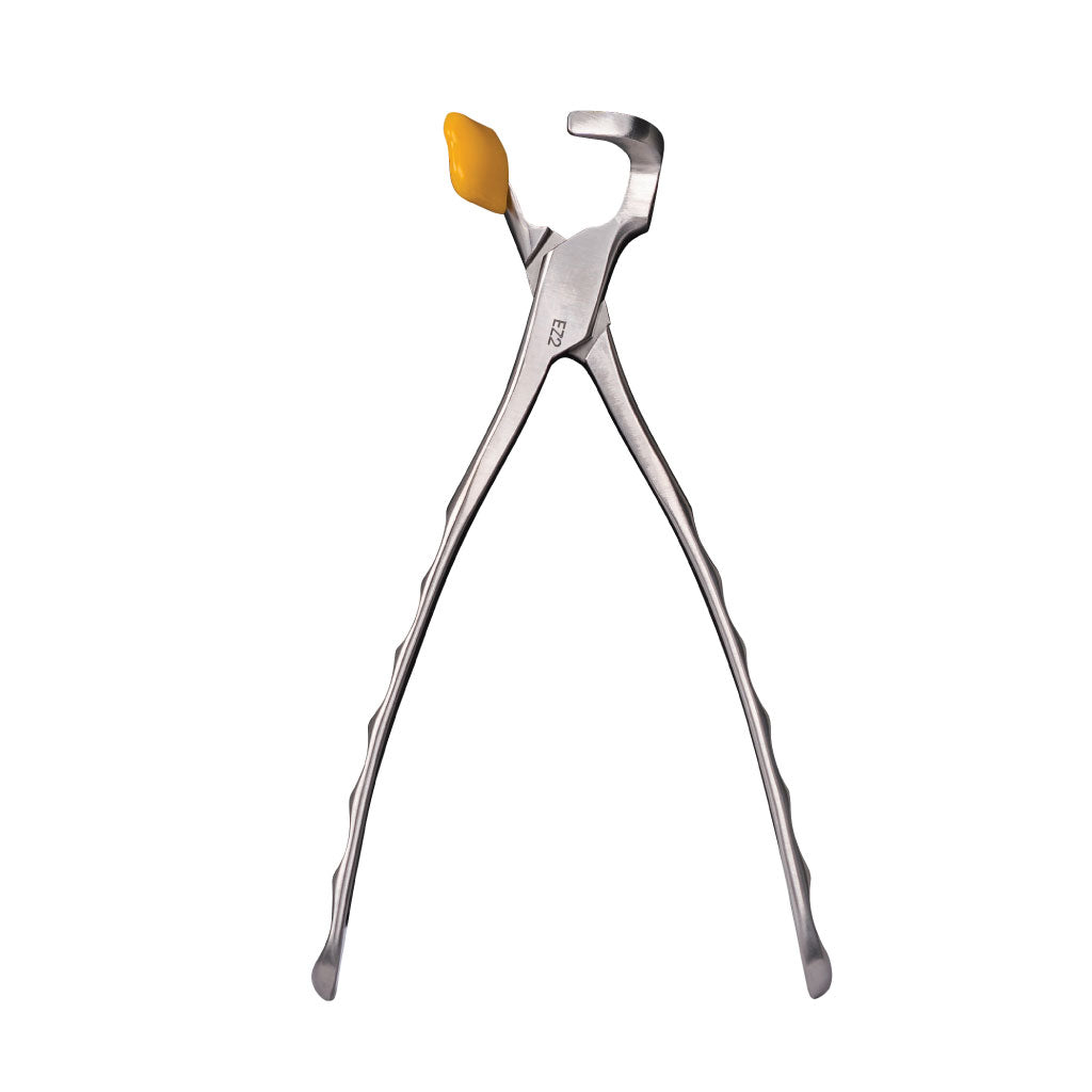 [WINTER] Directa Physics Forceps  Molar Series GMX 400EZ2 Each