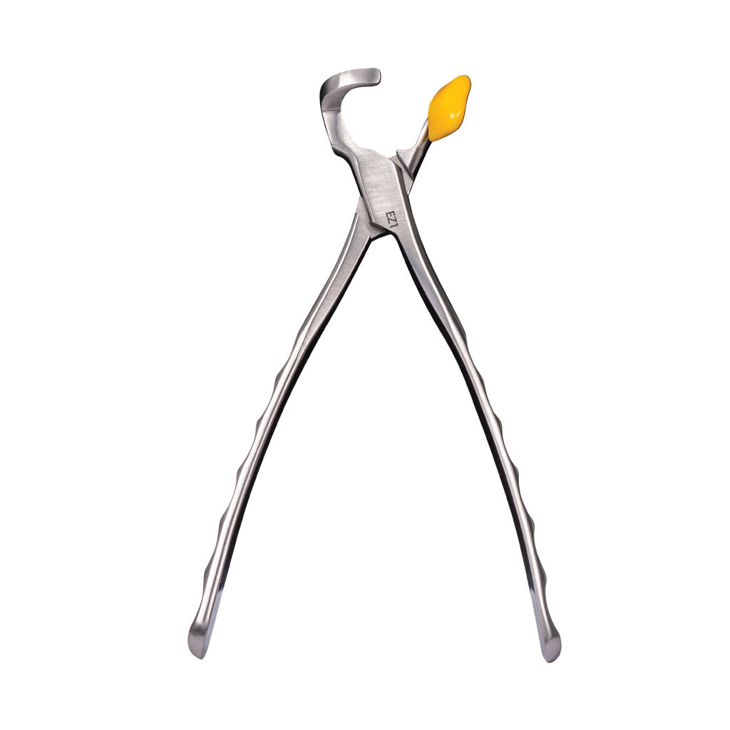 [WINTER] Directa Physics Forceps  Molar Series GMX 400EZ1 Each