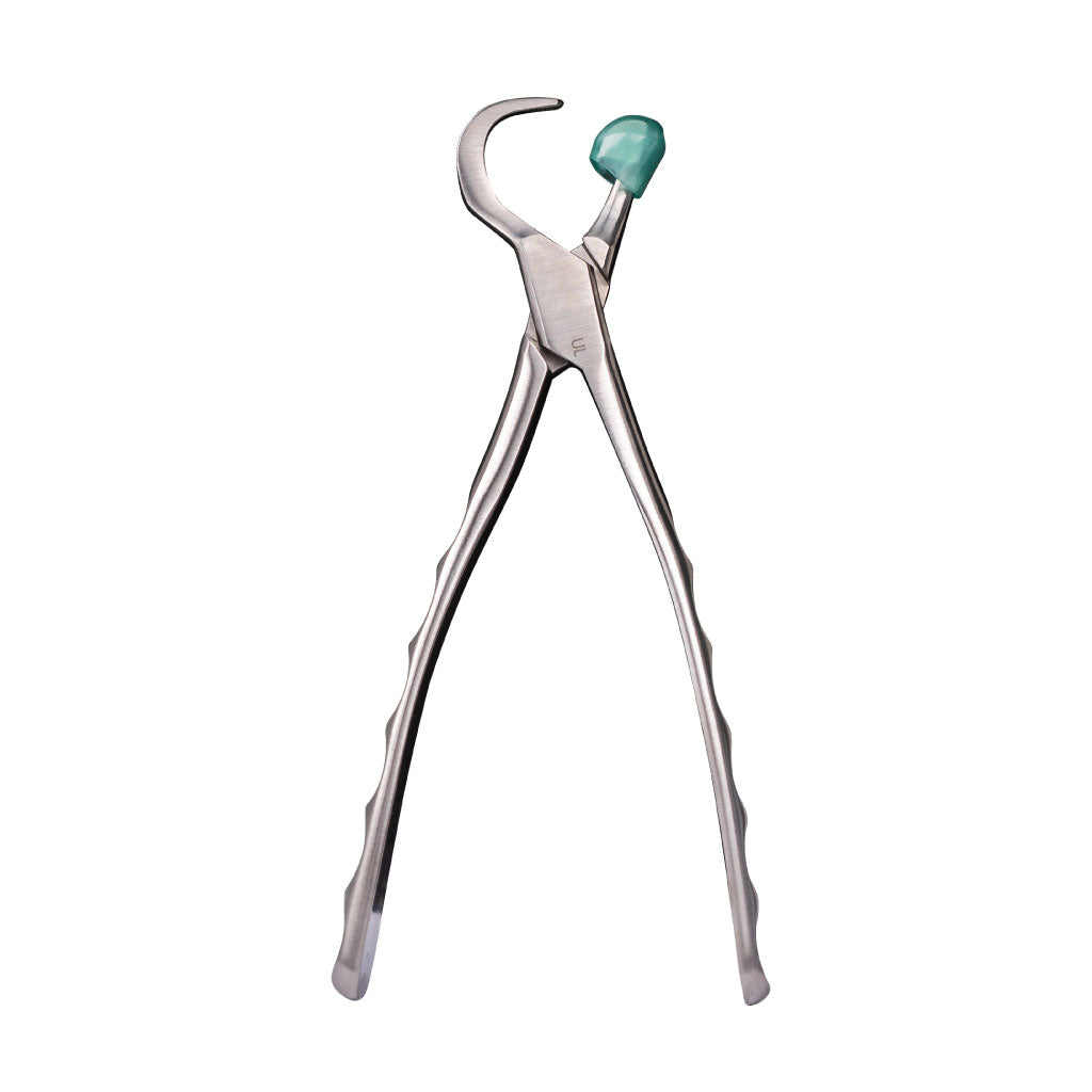 [WINTER] Directa Physics Forceps Standard Series Upper Left GMX100 Each