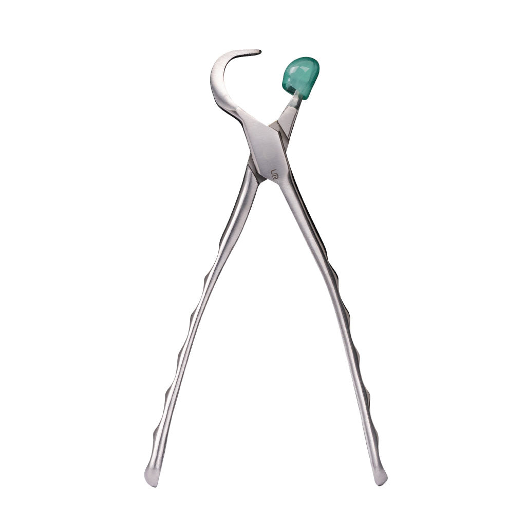 [WINTER] Directa Physics Forceps Standard Series Upper Right GMX100 Each