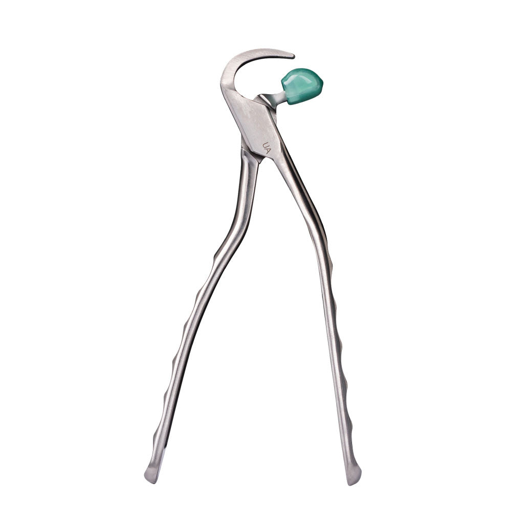 [WINTER] Directa Physics Forceps Standard Series Upper Anterior GMX100 Each